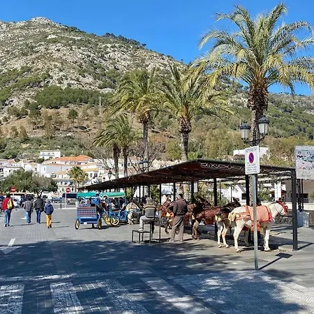 Higueronrentals Afrika * マラガ